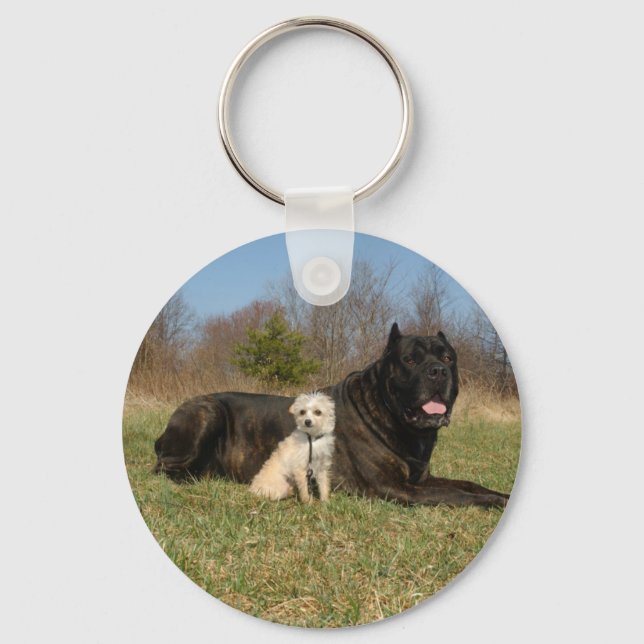 Cute Dog Couple Key Ring (Front)