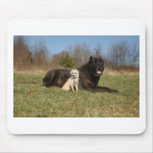 Cute Dog Couple Mouse Mat