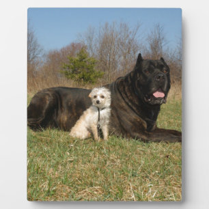Cute Dog Couple Plaque