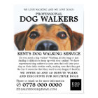 Cute Dog, Dog Walker Service Advertising
