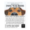 Cute Dog, Dog Walker Service Advertising