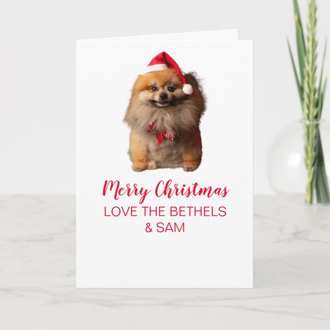 Cute Dog Folded Greeting Card (Front)