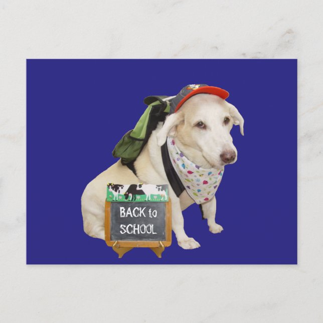 Cute Dog Funny Back to School Postcard (Front)