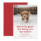  Cute Dog Funny Pet Photo Christmas