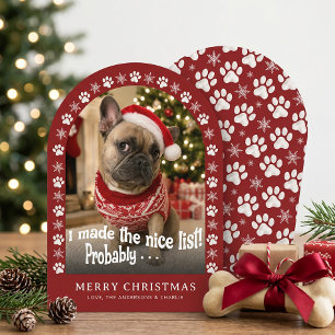 Cute Dog Funny Pet Photo Christmas Holiday Card