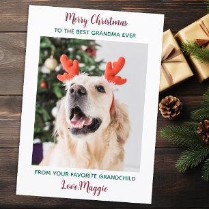 Cute Dog Grandma Personalised Christmas Pet Photo Holiday Card