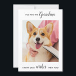 Cute Dog Grandma Personalised Pet Photo Birthday Holiday Card<br><div class="desc">Happy Birthday the the best dog grandma ever ! Give Grandma a cute and funny personalised pet photo card from her best grandchild, the dog! "You Are The Grandma Every Dog Wishes They Had . . . Happy Birthday Grandma, Love the Dog" Personalise the inside with your special message, the...</div>