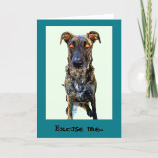 Cute Dog Greeting Card