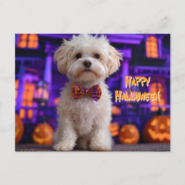 Cute Dog Happy Halloween Haunted House Postcard (Front)
