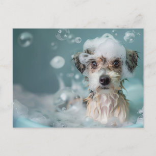 Cute dog having a bubble path postcard