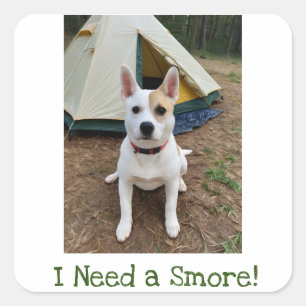 Cute Dog I Need a Smore Sticker