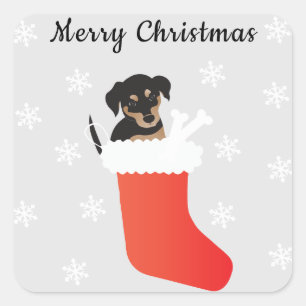 Cute Dog In A Stocking Snowflakes Square Sticker