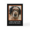 Cute Dog in Funny Mask Halloween Card