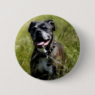 Cute dog in grass 6 cm round badge