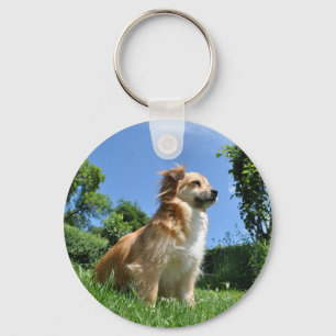 Cute dog in grass key ring
