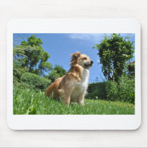 Cute dog in grass mouse mat