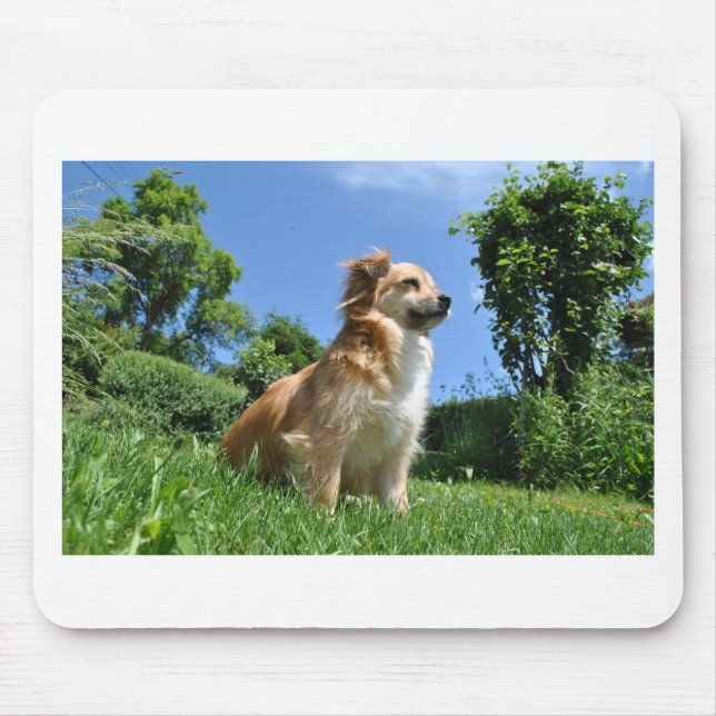 Cute dog in grass mouse mat (Front)