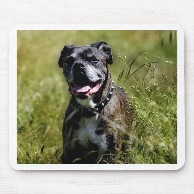Cute dog in grass mouse mat (Front)