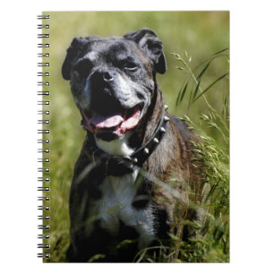 Cute dog in grass notebook