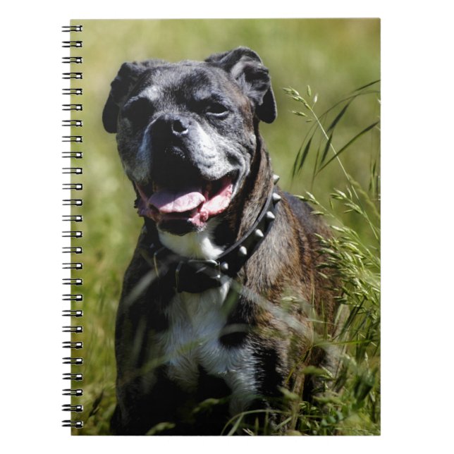 Cute dog in grass notebook (Front)