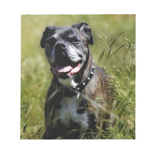 Cute dog in grass notepad