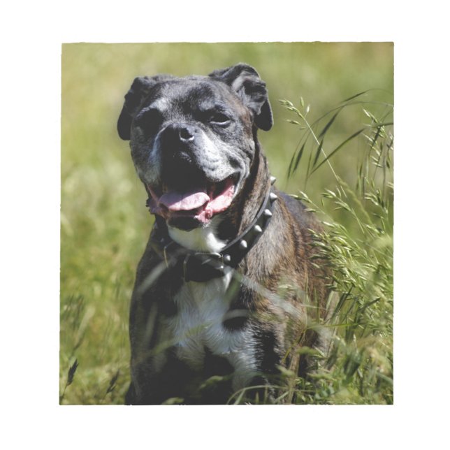 Cute dog in grass notepad (Front)