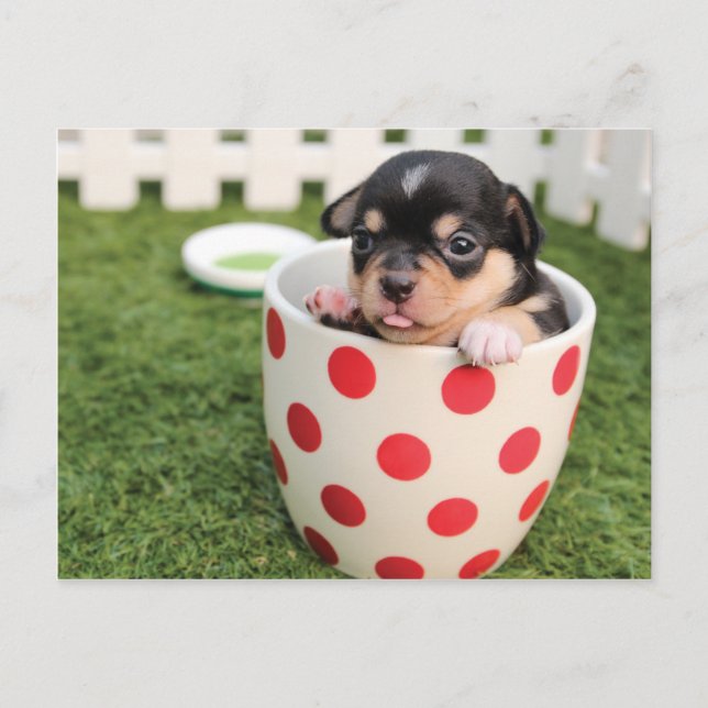 Cute Dog in mug Postcard (Front)