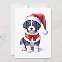Cute dog in Santa hat. Christmas design