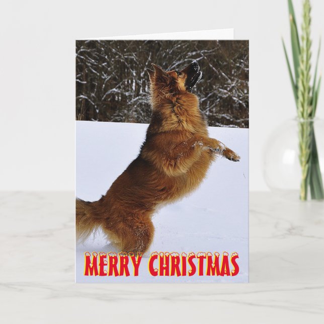 Cute dog in the snow Christmas Card (Front)