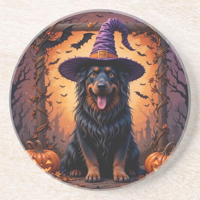 Cute Dog in Witch Hat Surrounded by Pumpkins Coaster (Front)