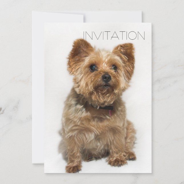 Cute Dog Invitation (Front)