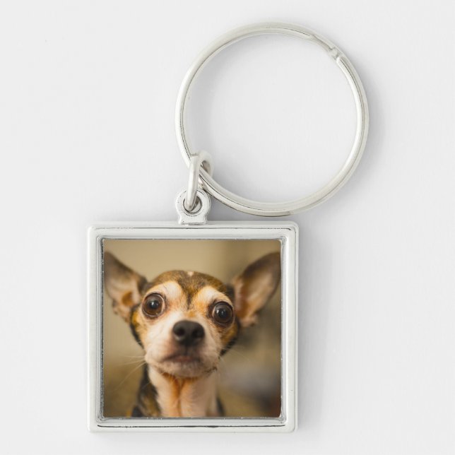 Cute Dog key chain 10 (Front)