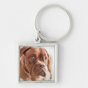 Cute Dog key chain 11