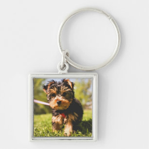 Cute Dog key chain 5