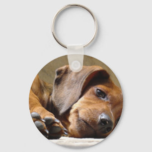 Cute dog key ring