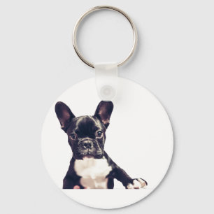 Cute Dog Keychains