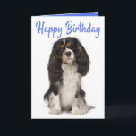 Cute Dog King Charles Cavalier Spaniel Birthday Card<br><div class="desc">Sending birthday greetings to family and friends has never been easier than with this cute King Charles Cavalier Spaniel puppy dog birthday card. Dog birthday cards are great for * dog rescue and adoption programs * dog businesses - breeders, groomers, trainers, vets, walkers * personal use * fundraisers and charities...</div>