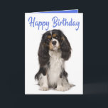 Cute Dog King Charles Cavalier Spaniel Birthday Card<br><div class="desc">Sending birthday greetings to family and friends has never been easier than with this cute King Charles Cavalier Spaniel puppy dog birthday card. Dog birthday cards are great for * dog rescue and adoption programs * dog businesses - breeders, groomers, trainers, vets, walkers * personal use * fundraisers and charities...</div>