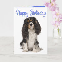 Cute Dog King Charles Cavalier Spaniel Birthday