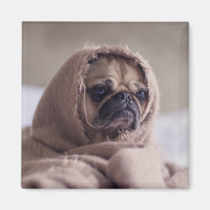 Cute Dog magnet 3