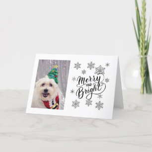 Cute Dog Maltese Bichon Christmas Card