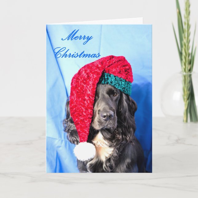 Cute Dog Merry Christmas Card (Front)