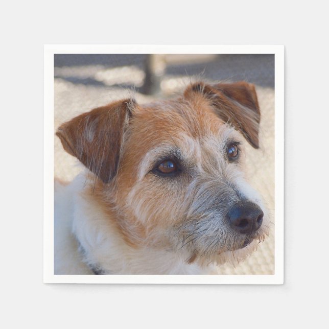 Cute dog napkins (Front)