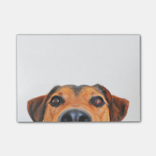 Cute dog nose horizontal post-it notes
