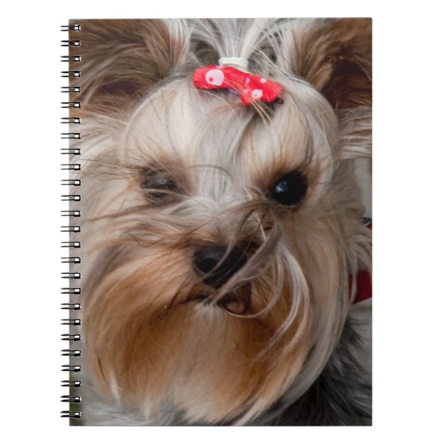 Cute dog notebook (Front)