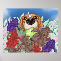 Cute dog on a flower field.