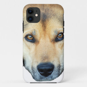 Cute dog on any colour background iPhone 11 case