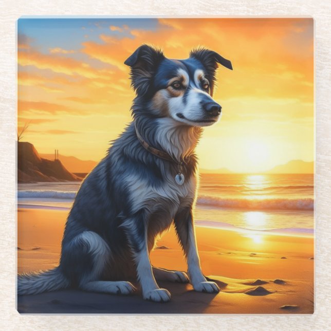 Cute Dog on Beach at Sunset  Glass Coaster (Front)