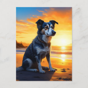 Cute Dog on Beach at Sunset Saying Hello Postcard