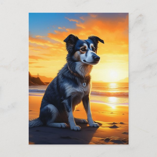 Cute Dog on Beach at Sunset | Saying Hello Postcard (Front)
